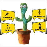 Wiggly Dancing Cactus - Image 6