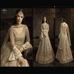 Maisha Heavy Net With Embroidery work