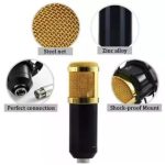 BM-800 Condenser Microphone Studio Kit - Image 4