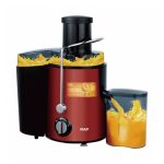 raf-fruit-juice-extractor-r-2817g