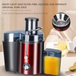 raf-fruit-juice-extractor-r-2817g