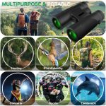 beauenty-high-power-binoculars-12x42-hd